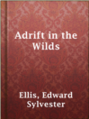 Cover image for Adrift in the Wilds